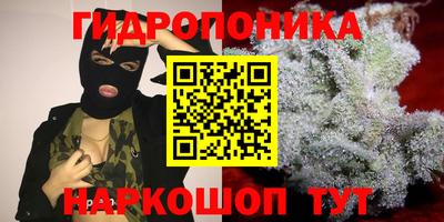 a pvp Заводоуковск