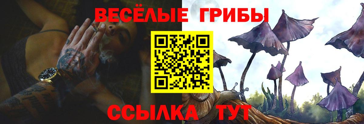 Галлюциногенные грибы прущие грибы Луга